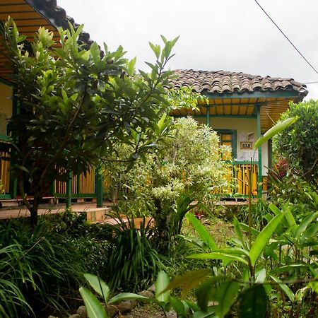 The Plantation House Travellers Hostel Salento Luaran gambar