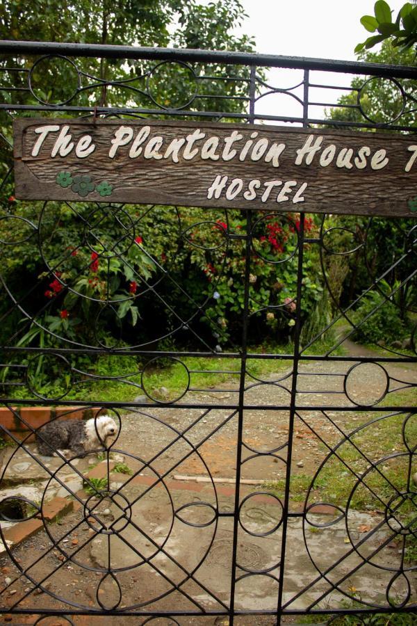 The Plantation House Travellers Hostel Salento Luaran gambar