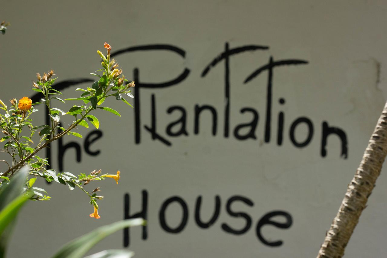 The Plantation House Travellers Hostel Salento Luaran gambar