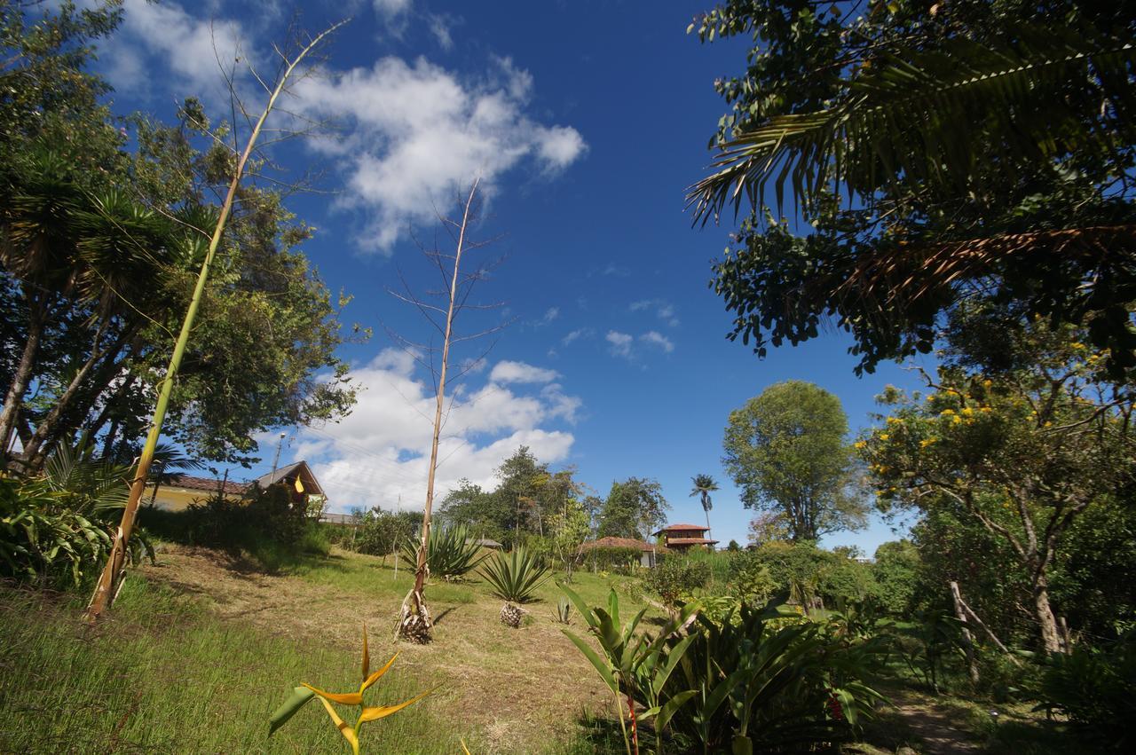 The Plantation House Travellers Hostel Salento Luaran gambar